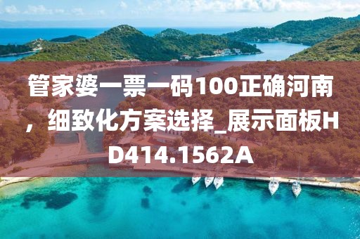 管家婆一票一码100正确河南，细致化方案选择_展示面板HD414.1562A