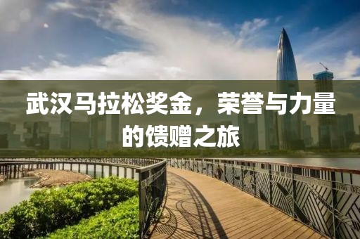 武汉马拉松奖金，荣誉与力量的馈赠之旅