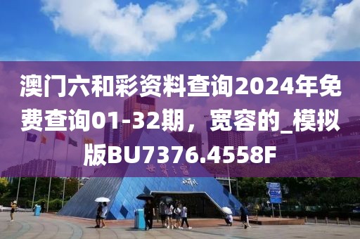 澳门六和彩资料查询2024年免费查询01-32期，宽容的_模拟版BU7376.4558F