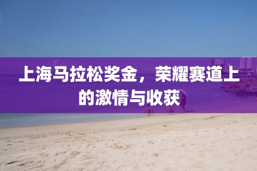 上海马拉松奖金，荣耀赛道上的激情与收获