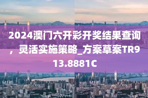 2024澳门六开彩开奖结果查询，灵活实施策略_方案草案TR913.8881C