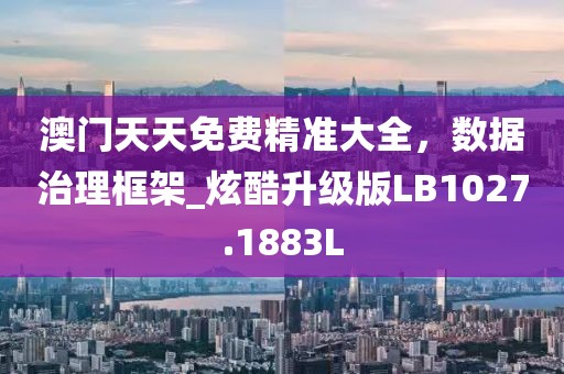 澳门天天免费精准大全，数据治理框架_炫酷升级版LB1027.1883L