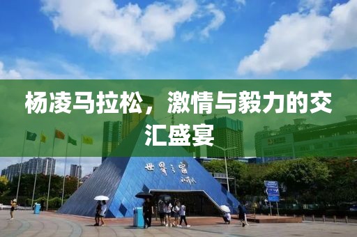 杨凌马拉松，激情与毅力的交汇盛宴