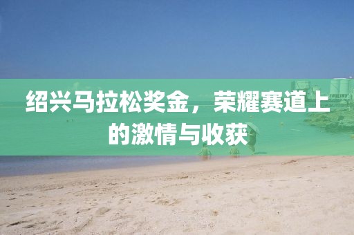 绍兴马拉松奖金，荣耀赛道上的激情与收获