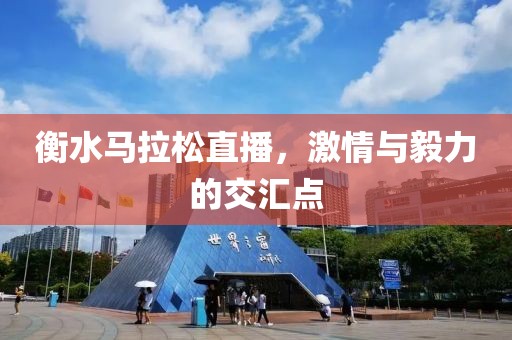 衡水马拉松直播，激情与毅力的交汇点