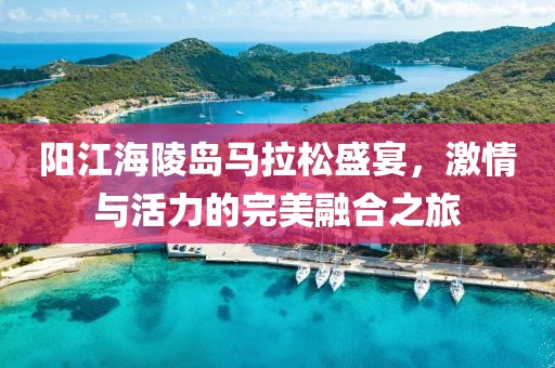 阳江海陵岛马拉松盛宴，激情与活力的完美融合之旅
