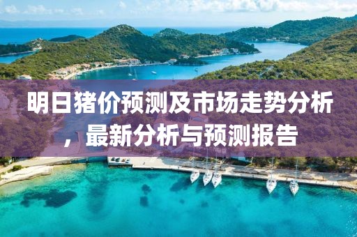 明日猪价预测及市场走势分析，最新分析与预测报告