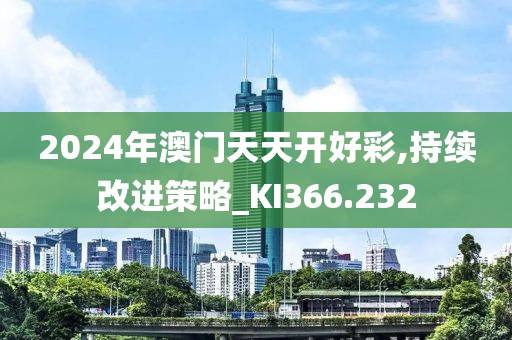 2024年澳门天天开好彩,持续改进策略_KI366.232