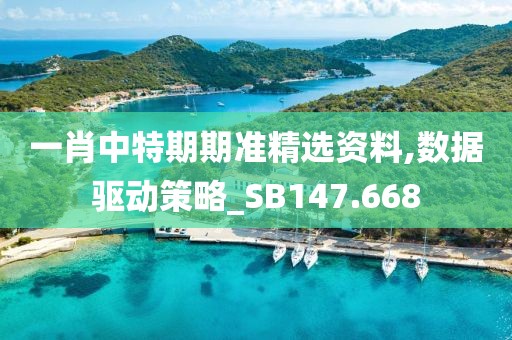 一肖中特期期准精选资料,数据驱动策略_SB147.668