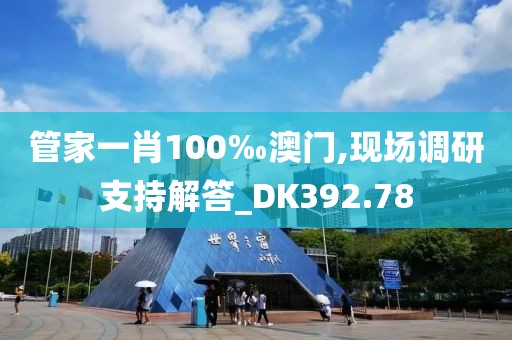 管家一肖100‰澳门,现场调研支持解答_DK392.78