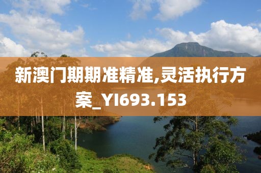 新澳门期期准精准,灵活执行方案_YI693.153