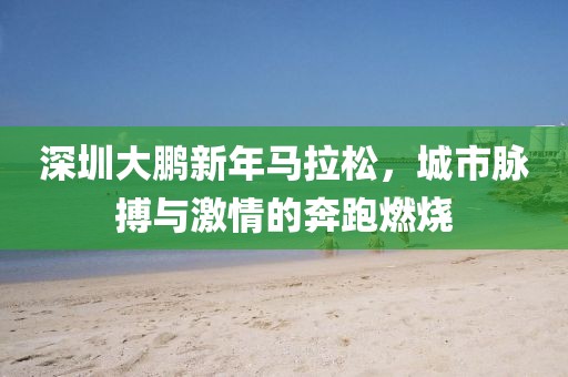 深圳大鹏新年马拉松，城市脉搏与激情的奔跑燃烧