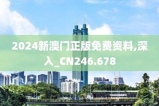 2024新澳门正版免费资料,深入_CN246.678