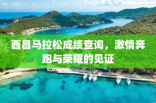 西昌马拉松成绩查询，激情奔跑与荣耀的见证