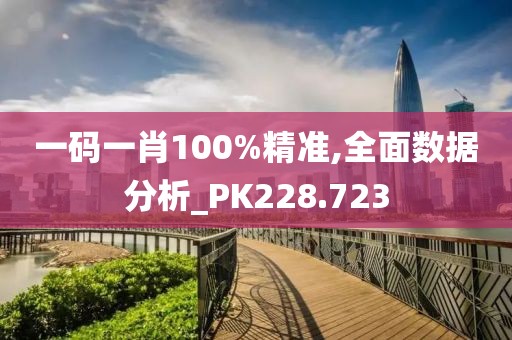 一码一肖100%精准,全面数据分析_PK228.723