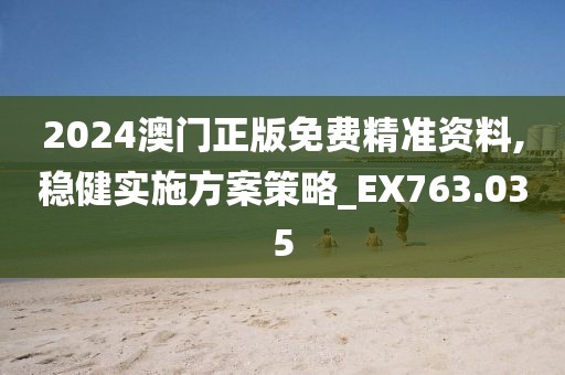 2024澳门正版免费精准资料,稳健实施方案策略_EX763.035