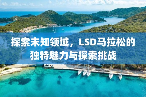 探索未知领域，LSD马拉松的独特魅力与探索挑战