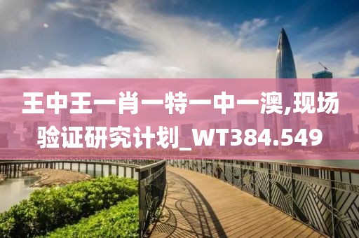 王中王一肖一特一中一澳,现场验证研究计划_WT384.549