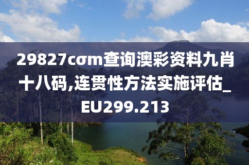 29827cσm查询澳彩资料九肖十八码,连贯性方法实施评估_EU299.213