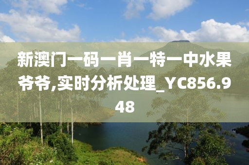 新澳门一码一肖一特一中水果爷爷,实时分析处理_YC856.948