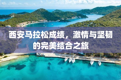 西安马拉松成绩，激情与坚韧的完美结合之旅