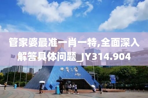 管家婆最准一肖一特,全面深入解答具体问题_JY314.904