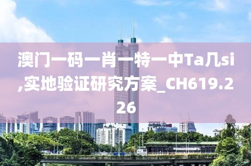 澳门一码一肖一特一中Ta几si,实地验证研究方案_CH619.226