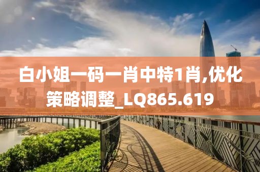 白小姐一码一肖中特1肖,优化策略调整_LQ865.619