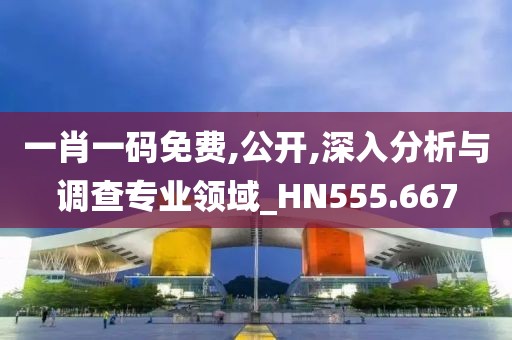 一肖一码免费,公开,深入分析与调查专业领域_HN555.667