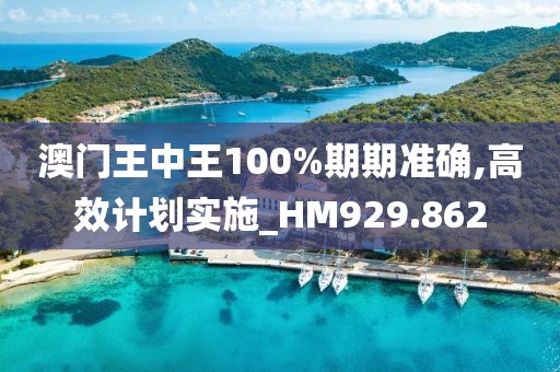 澳门王中王100%期期准确,高效计划实施_HM929.862