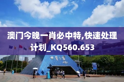 澳门今晚一肖必中特,快速处理计划_KQ560.653