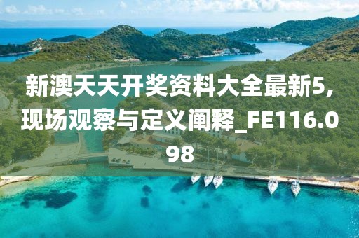 新澳天天开奖资料大全最新5,现场观察与定义阐释_FE116.098