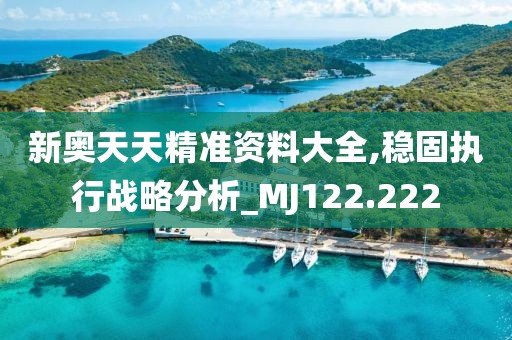 新奥天天精准资料大全,稳固执行战略分析_MJ122.222