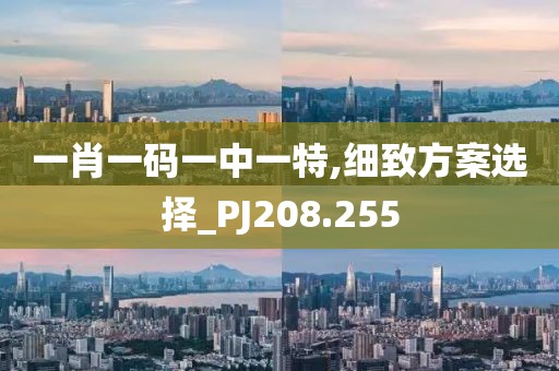 一肖一码一中一特,细致方案选择_PJ208.255