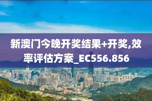 新澳门今晚开奖结果+开奖,效率评估方案_EC556.856