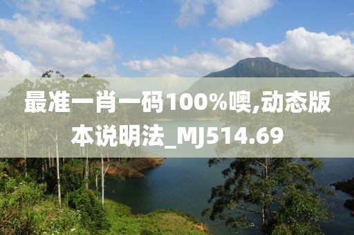 最准一肖一码100%噢,动态版本说明法_MJ514.69