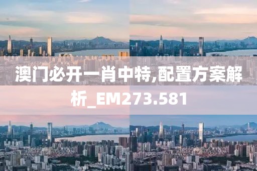 澳门必开一肖中特,配置方案解析_EM273.581