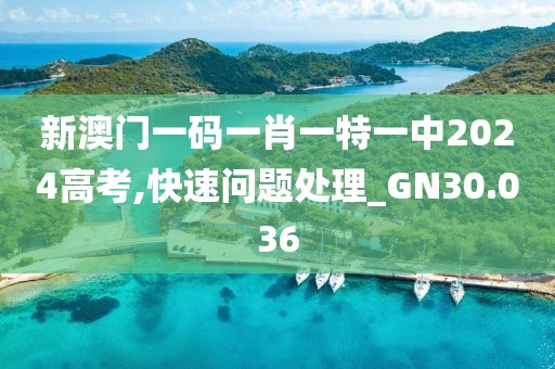 新澳门一码一肖一特一中2024高考,快速问题处理_GN30.036