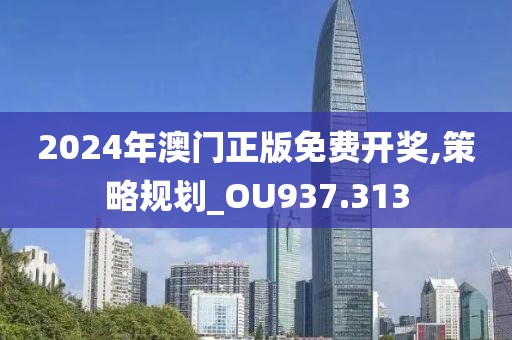 2024年澳门正版免费开奖,策略规划_OU937.313
