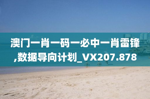 澳门一肖一码一必中一肖雷锋,数据导向计划_VX207.878