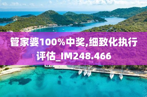 管家婆100%中奖,细致化执行评估_IM248.466