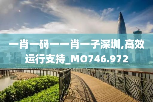 一肖一码一一肖一子深圳,高效运行支持_MO746.972