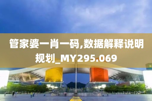 管家婆一肖一码,数据解释说明规划_MY295.069