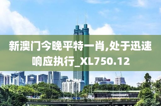 新澳门今晚平特一肖,处于迅速响应执行_XL750.12