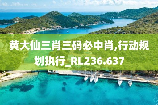 黄大仙三肖三码必中肖,行动规划执行_RL236.637