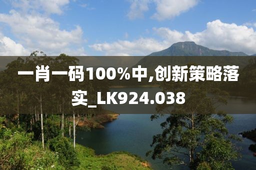 一肖一码100%中,创新策略落实_LK924.038