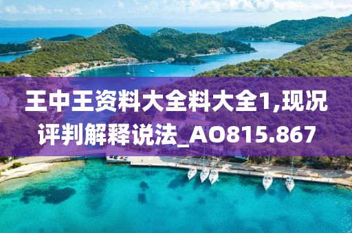 王中王资料大全料大全1,现况评判解释说法_AO815.867