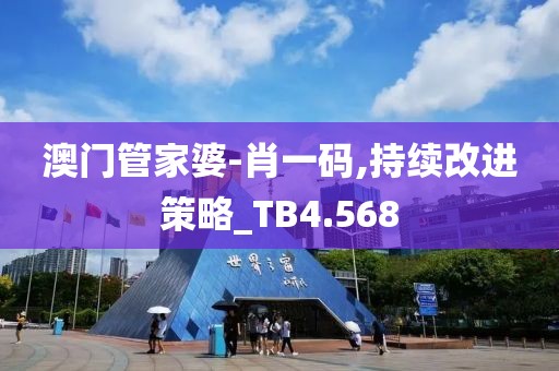 澳门管家婆-肖一码,持续改进策略_TB4.568