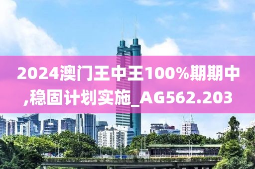 2024澳门王中王100%期期中,稳固计划实施_AG562.203