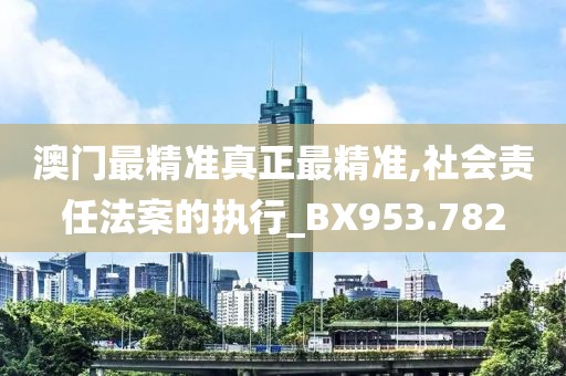 澳门最精准真正最精准,社会责任法案的执行_BX953.782